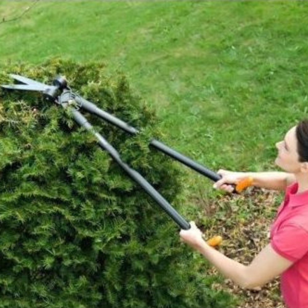 Fiskars - Makaze za živu ogradu i travu - 042463