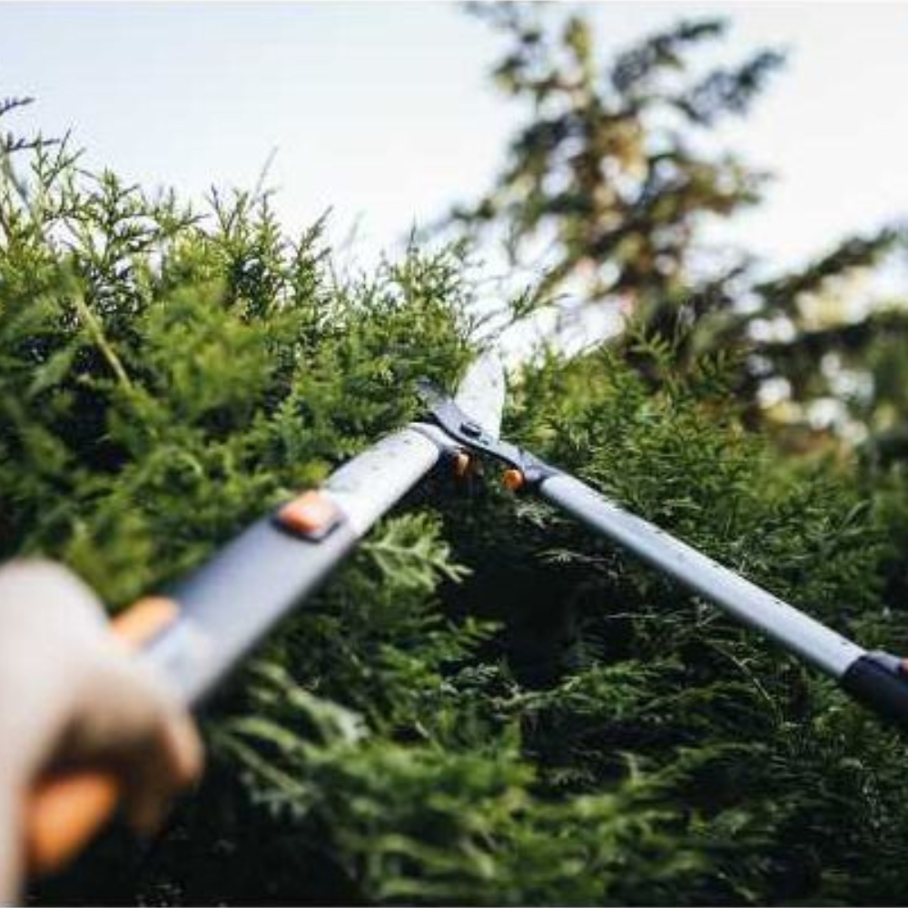 Fiskars - Teleskopske makaze za živu ogradu 1013565 - 040947